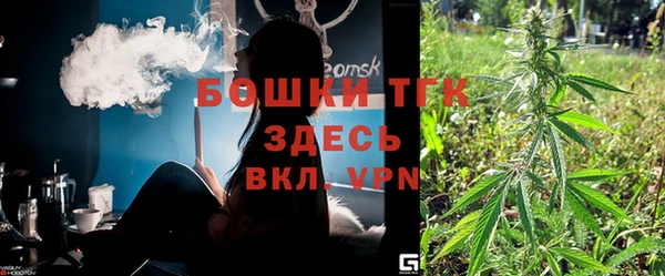молекула духа Бикин