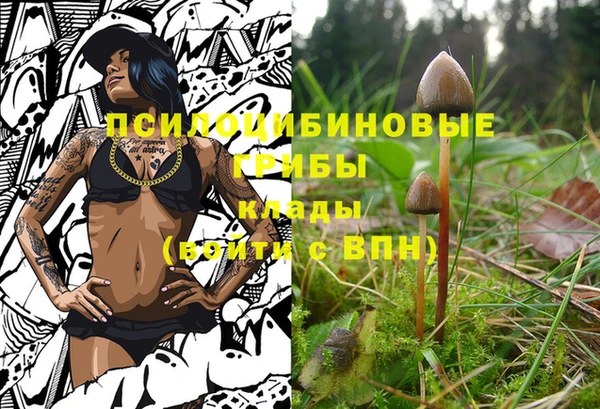 синтетический гашиш Нефтегорск