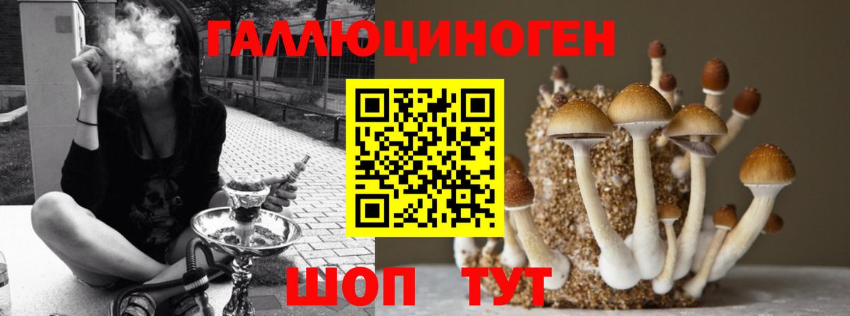 Псилоцибиновые грибы мицелий  Вход с VPN  Азов 